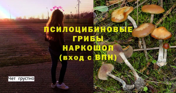 хмурый Киреевск