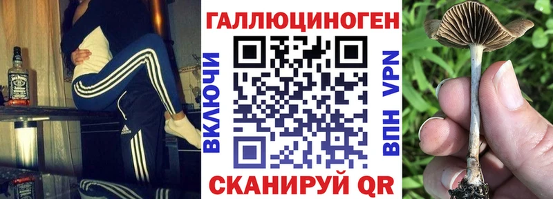 Купить где  Балабаново  Псилоцибиновые грибы ЛСД 